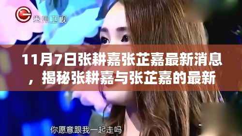 揭秘张耕嘉与张芷嘉的最新动态,11月7日更新报告