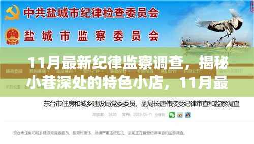 揭秘特色小店,纪律监察调查下的意外惊喜