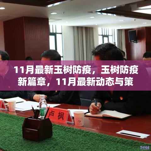 玉树防疫新篇章,11月最新动态与策略解析