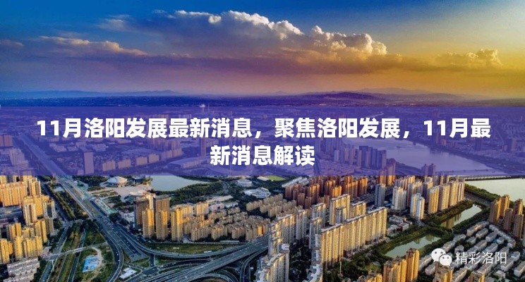 聚焦洛阳发展,11月最新消息解读与进展