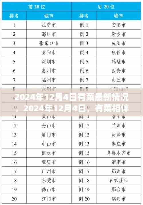 心灵之旅启程,有菜相伴的2024年12月4日最新动态
