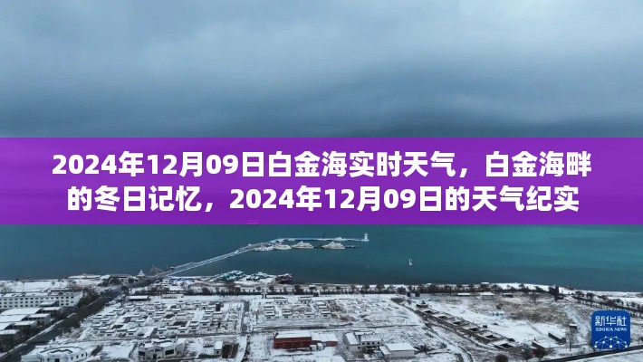白金海畔冬日纪实,2024年12月09日的天气与记忆