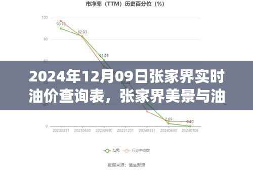 张家界油价查询表与美景探索,寻找内心平静的油价之旅
