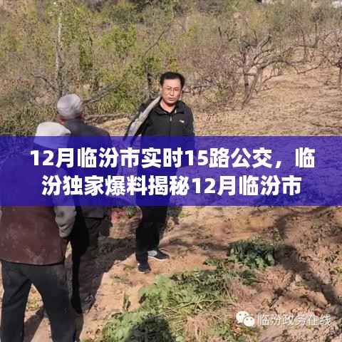 揭秘临汾市实时公交15路,冬季温暖之旅的独家爆料