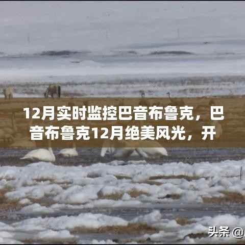 巴音布鲁克12月实时监控，绝美风光之旅启动