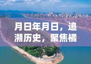 达官显贵 第4页