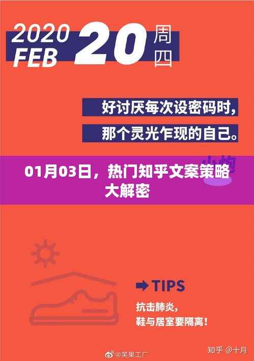 热门知乎文案策略揭秘，01月03日大解密