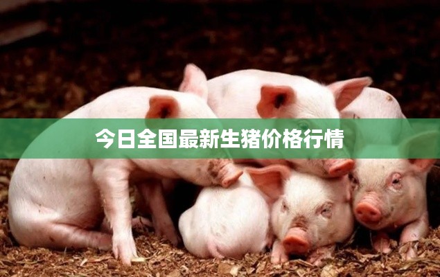 今日全国最新生猪价格行情