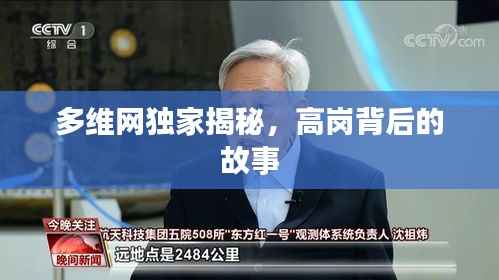多维网独家揭秘,高岗背后的故事