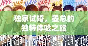 独家试婚，墨总的独特体验之旅