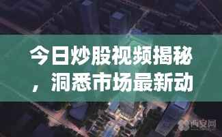 今日炒股视频揭秘，洞悉市场最新动态，掌握投资先机