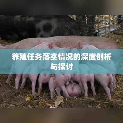 养殖任务落实情况的深度剖析与探讨