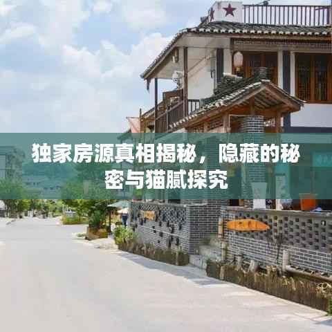 独家房源真相揭秘,隐藏的秘密与猫腻探究